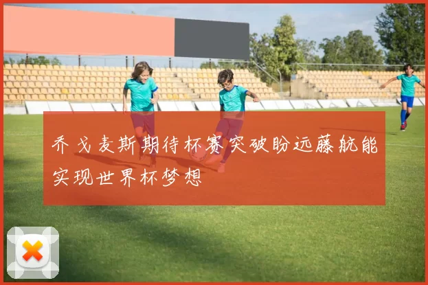 乔戈麦斯期待杯赛突破盼远藤航能实现世界杯梦想